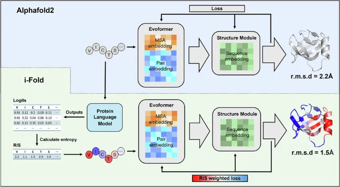 Investigadores mejoran AlphaFold2 con puntuaciones de importancia de residuos derivadas de modelos de lenguaje