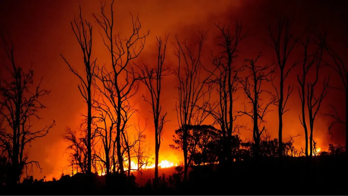La ESA propone una constelación de satélites con IA para detectar incendios forestales