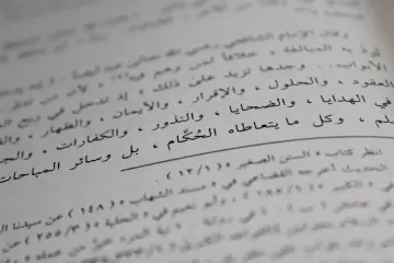OpenAI implementará marcas de agua invisibles textGrain en ChatGPT y Codex en la UE