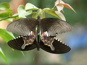 Fotografía de archivo que ilustra: Meta lanza Glimmer, modelo de IA abierto, mientras mantiene Muse Spark cerrado