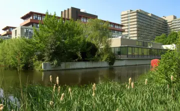 Estudio universitario de dos años halla que prohibir la IA en clase perjudica a los estudiantes