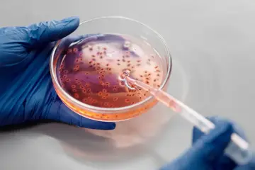 Google, Meta y Biohub invierten 1.800 millones en IA para simular células biológicas