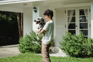Fotografía de archivo que ilustra: Ring expande su función de búsqueda de perros perdidos a usuarios sin cámara