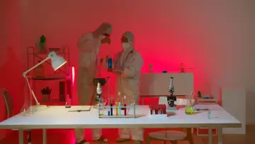 Fotografía de archivo que ilustra: DeepMind demuestra que neuronas interpretables no son más importantes que las ocultas