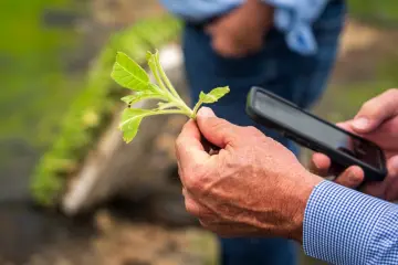 India proyecta su mercado de IA en 32.000 millones en 2031 impulsado por código abierto