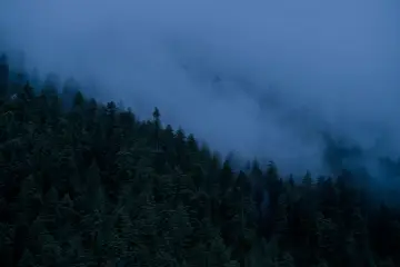 La ESA propone una constelación de satélites con IA para detectar incendios forestales