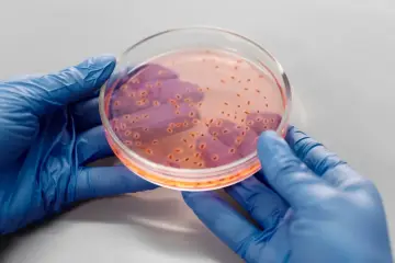Google reduce un 88 % el coste de cribar proteínas con IA y logra binders contra la diana FAP