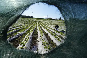 Fotografía de archivo que ilustra: Meta lanza subvenciones de hasta $200.000 para aplicaciones de gafas IA