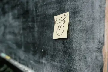 Expertos plantean si la IA se apropia de ideas ajenas tras el caso del problema de Navier-Stokes de OpenAI