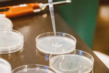 IA generativa diseña dominios de proteínas que triplican el rendimiento de enzimas productoras de antibióticos