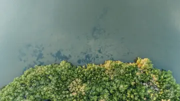 Fotografía de archivo que ilustra: Ai2 lanza OlmoEarth v1.3, modelo de embeddings satelitales abierto para todo el planeta