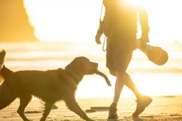 Fotografía de archivo que ilustra: Samsung integra diagnóstico veterinario con IA en SmartThings Pet Care