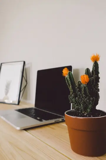Fotografía de archivo que ilustra: Autopilot-Jobhunt: herramienta de código abierto que automatiza la búsqueda de empleo con IA