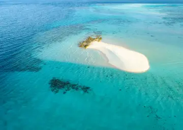 Investigadores del MIT dejan a agentes de Claude en una isla virtual y empiezan a "jugar"