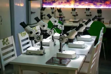 AlphaFold: cinco años de impacto científico global y reconocimiento Nobel
