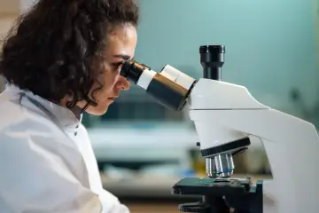 Un ensayo sostiene que las redes neuronales son más legibles de lo que se creía y divide a los investigadores