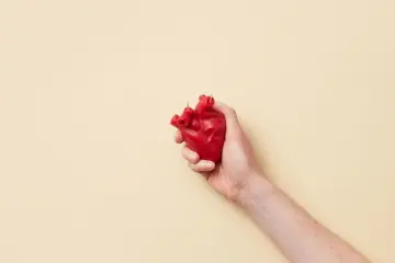 Hospital infantil de Filadelfia usa IA de código abierto para modelar corazones pediátricos