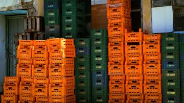 EE.UU. arresta a un CEO acusado de contrabandear chips de Nvidia por 300 millones de dólares a China