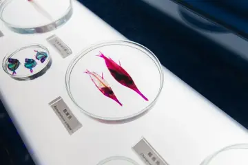 Fotografía de archivo que ilustra: Anthropic compra Mithril Medicine, una empresa de una persona que usó Claude para desarrollar tratamientos…