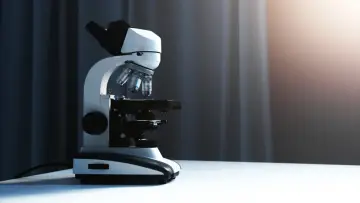 Nikon descalifica el vídeo ganador de Small World in Motion por usar IA generativa