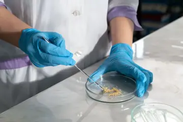 Investigadores crean Rider, IA que descubre virus ARN divergentes en datos metatranscriptómicos