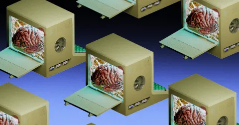 Organoides cerebrales cultivados en laboratorio podrían reemplazar redes neuronales artificiales