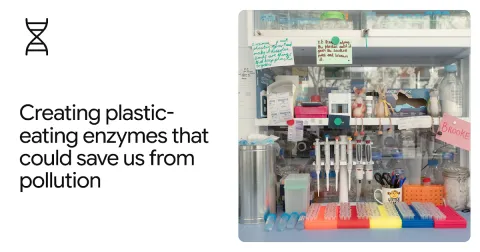 DeepMind y científicos usan AlphaFold para desarrollar enzimas que degraden plásticos