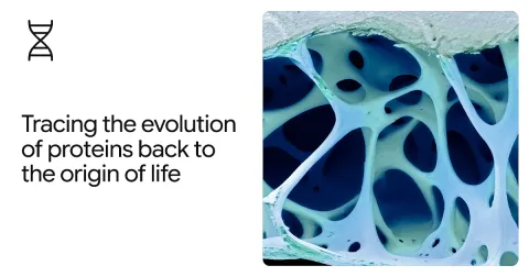 AlphaFold permite rastrear la evolución de proteínas cientos de millones de años atrás