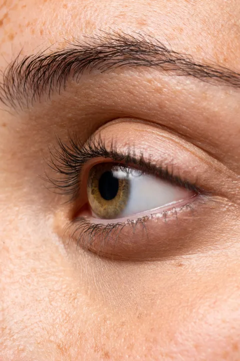 IA argentina del CONICET detecta retinopatía diabética en hospitales bonaerenses