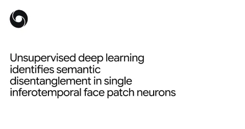DeepMind vincula neuronas visuales del cerebro con redes neuronales interpretables