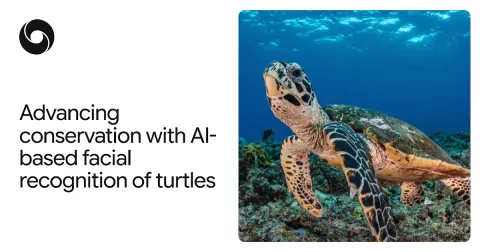 DeepMind impulsa reconocimiento facial de tortugas para conservación con reto de aprendizaje automático