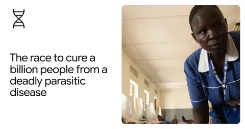 DeepMind acelera descubrimiento de medicamento para la leishmaniasis usando AlphaFold
