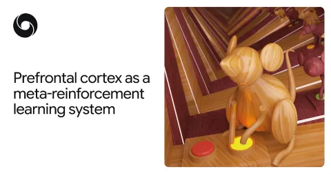 DeepMind demuestra que la corteza prefrontal actúa como sistema de aprendizaje por refuerzo metacognitivo