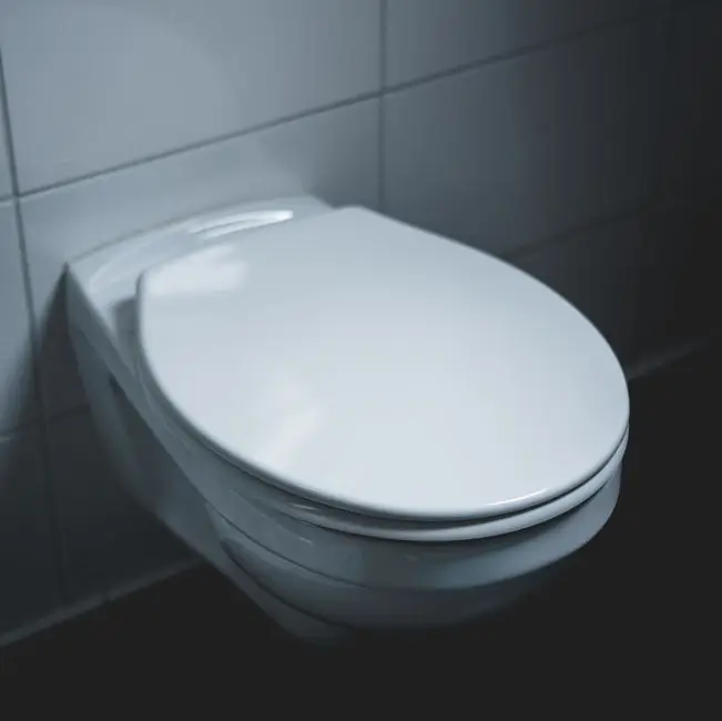 Inodoros con IA analizan heces y orina para monitorear salud intestinal, pero expertos dudan de su utilidad