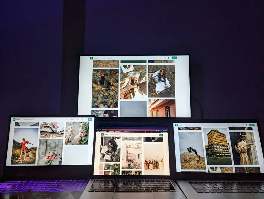 Deepfakes de animales saturan internet y erosionan confianza en contenido auténtico