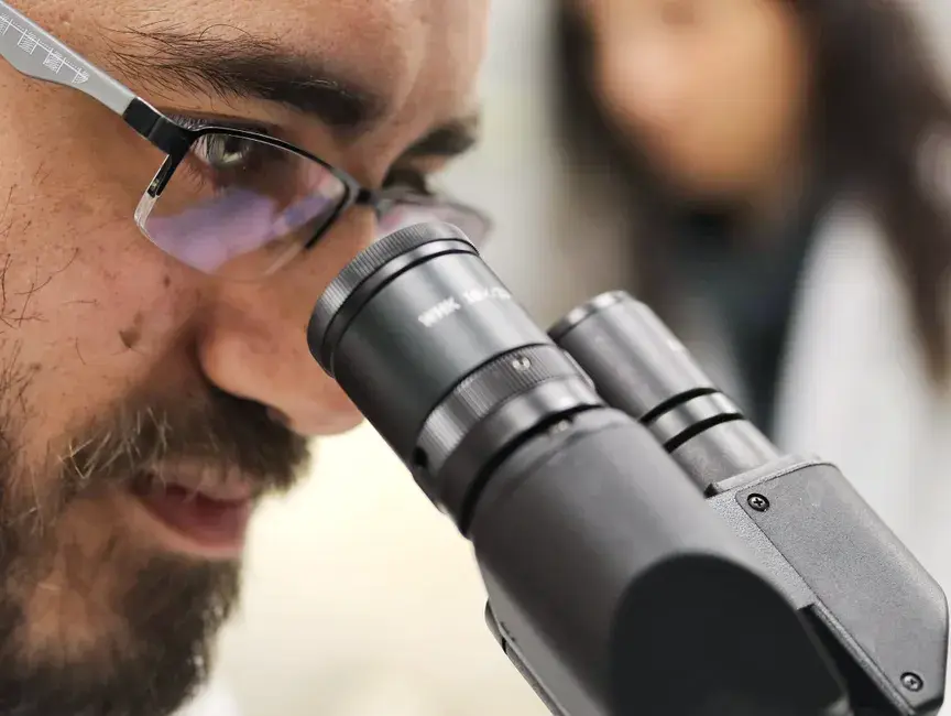 Nikon retira el primer premio de su concurso de microscopía por usar IA generativa en un vídeo