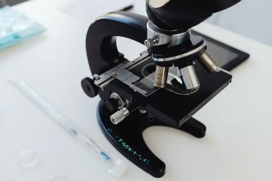 Un estudio del MIT halla en seis modelos de lenguaje una organización modular parecida a la del cerebro humano