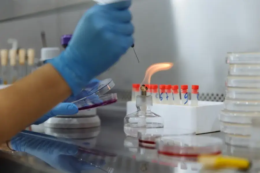Científicos cuestionan el hallazgo de Anthropic de un sistema tipo Crispr descubierto por Claude