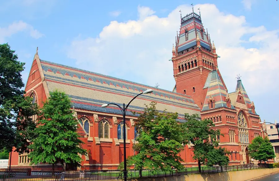 Un estudio de Harvard halla que los agentes de código generan más código, pero no más software