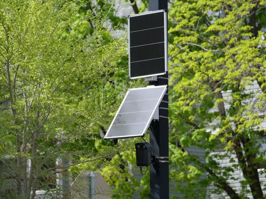 Flox Intelligence desarrolla IA para alejar la fauna de trenes, aeropuertos y carreteras
