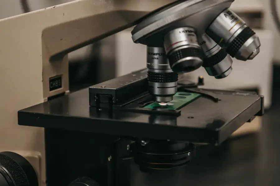 Fotografía de archivo que ilustra: Nuevo modelo de deep learning para proteínas con regiones globales y locales desordenadas