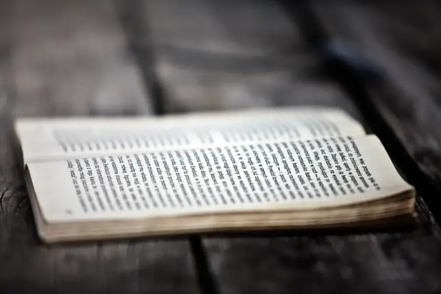 OpenAI añadirá marca de agua invisible al texto de ChatGPT y Codex en la UE