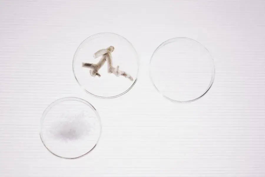 Investigadores amplían la arquitectura JEPA de LeCun a un modelo mundial universal aplicable de la física a la biología