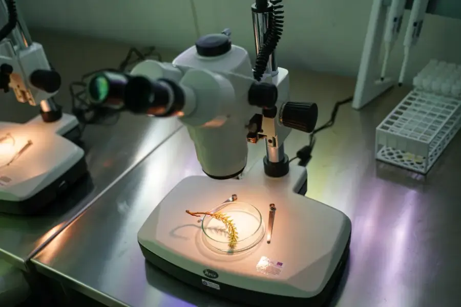 Fotografía de archivo que ilustra: Nuevo modelo ProBEiT integra información estructural en modelos de lenguaje de proteínas