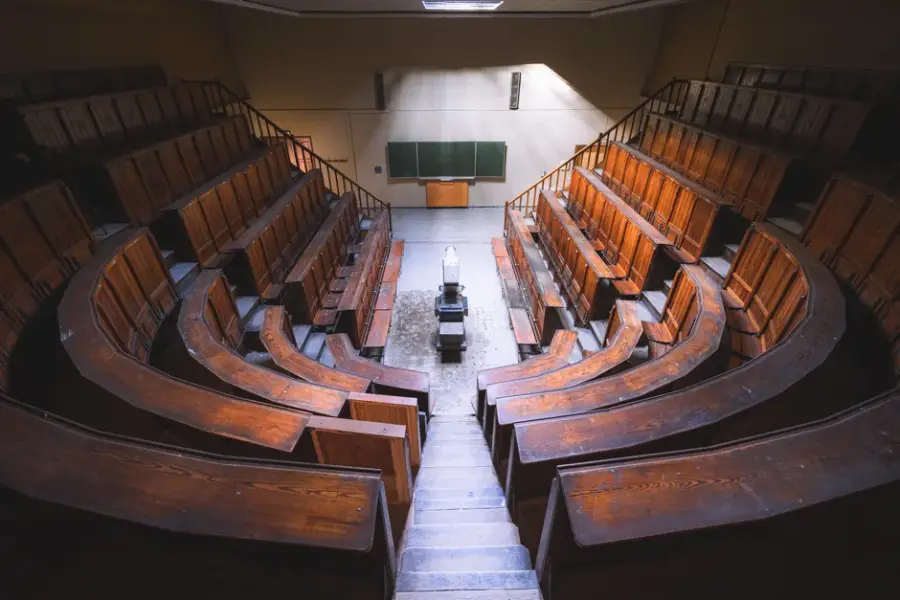 Estudio alemán contradice a Stanford: el desempleo de graduados universitarios en EE.UU. no aumenta pese a la IA