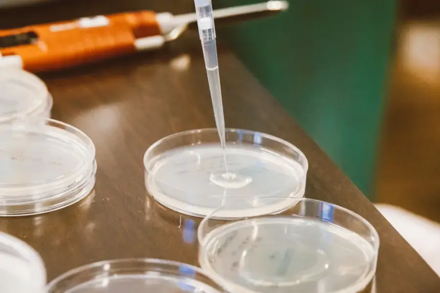 IA generativa diseña dominios de proteínas que triplican el rendimiento de enzimas productoras de antibióticos